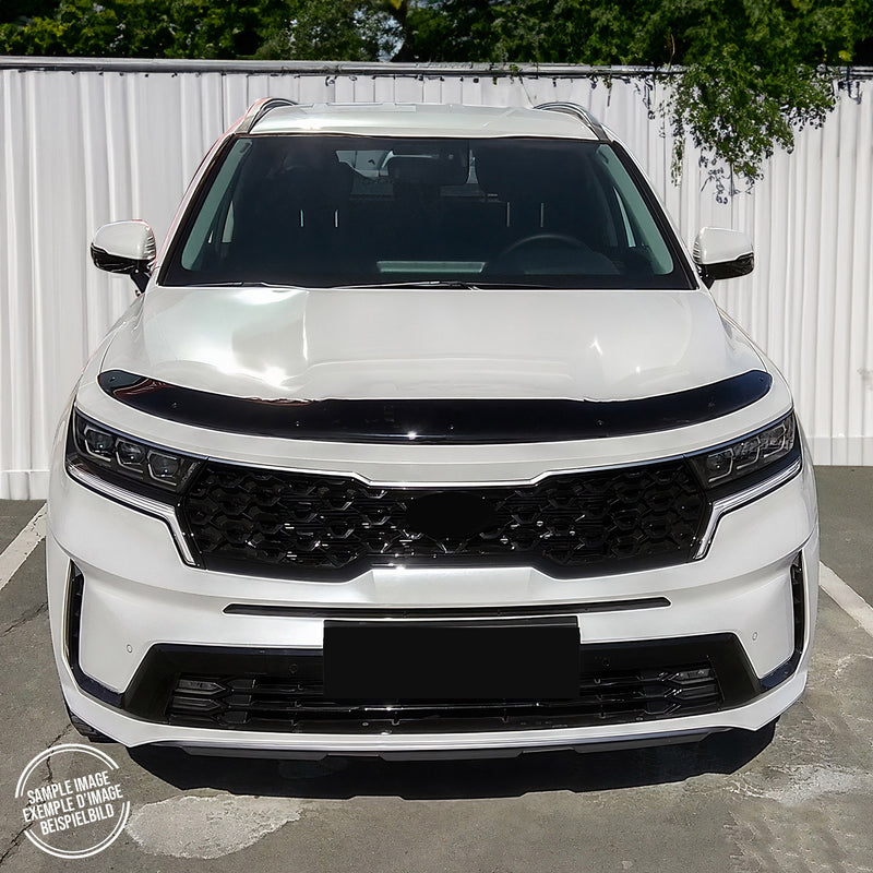 Zanzariera deflettore cofano per Land Rover Freelander 2006-2015 scura