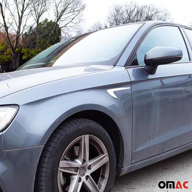 Striscia di protezione per portiera laterale per BMW Serie 3 E90 F30 2005-2019 acciaio inox cromato 2x 